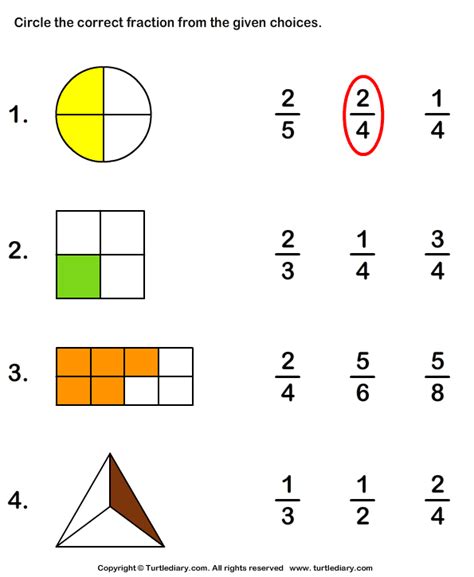 What Fraction Of Shape Is Colored Turtle Diary Worksheet