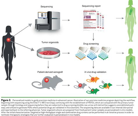 Personalized In Vitro And In Vivo Cancer Models To Guide Precision