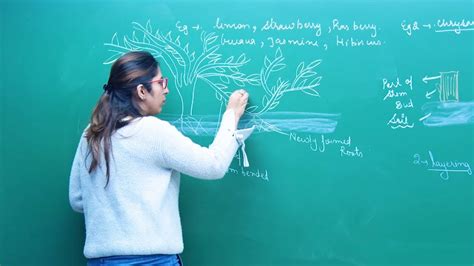 Maybe you would like to learn more about one of these? How do Organisms Reproduce? | Biology | CBSE Class 10th ...