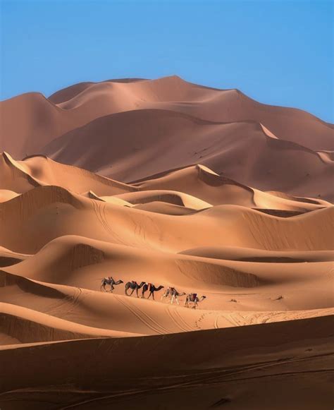 Earth Pics On Twitter In 2021 Desert Photography Desert Aesthetic