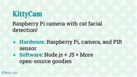 [js kongress 2016] kittycam js raspberry pi camera w cat facial de…