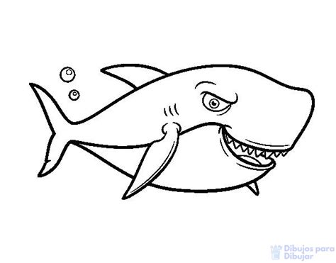 F Ciles Dibujos De Tiburones Para Dibujar