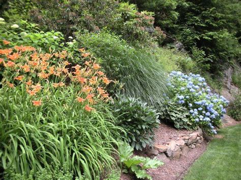 Ground Cover Plants For Slopes Shade How To Attractively Plant A