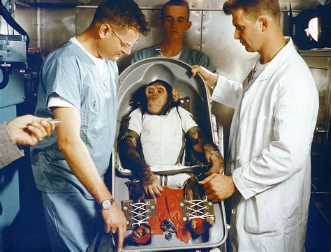 Ham The Chimpanzee Was The First Living Creature Sent Into Outer Space