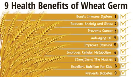 9 Amazing Health Benefits Of Wheat Germ