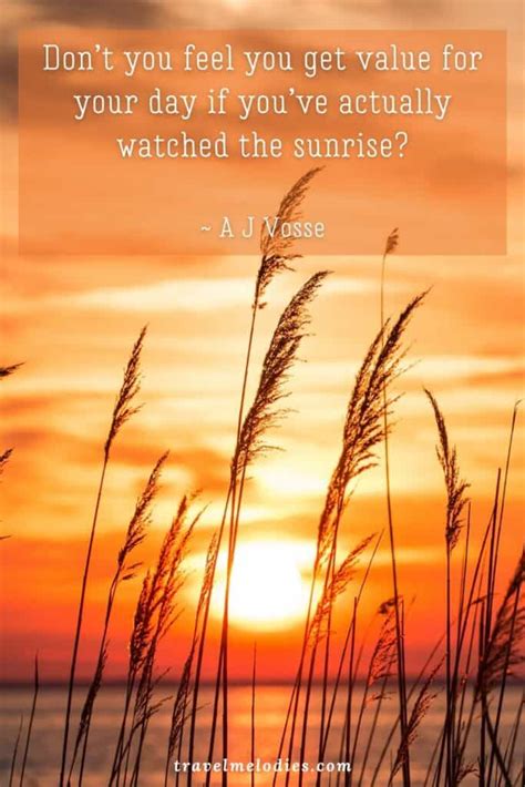 Get your instagram sunset posts some insight just by posting these sunset quotes about life. The Best Sunrise Quotes and Sunrise Captions to Shine on ...