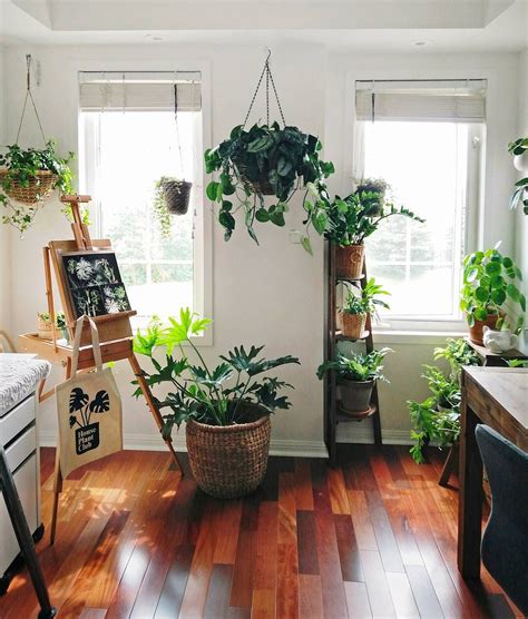 List Of Indoor Plants Design Basic Idea Home Decorating Ideas
