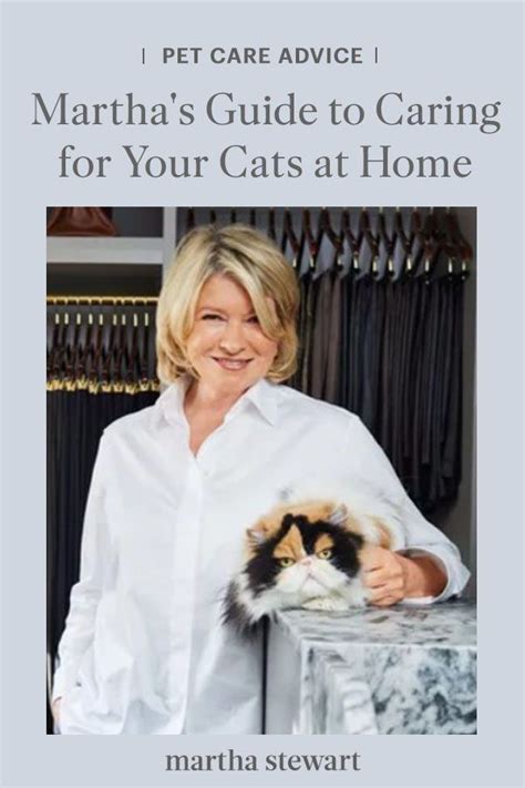 Marthas Comprehensive Guide To Caring For Your Cats At Home Pet Care