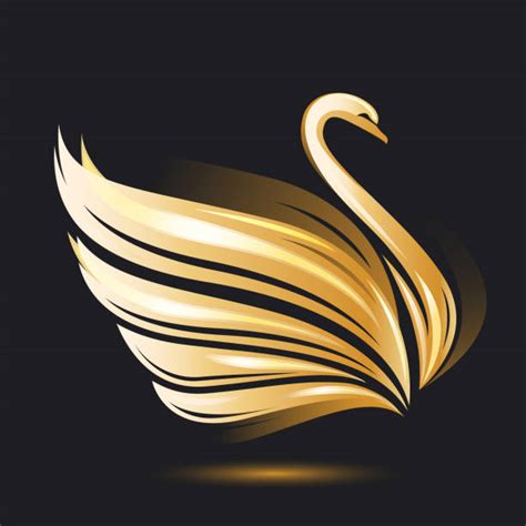 Swan Wing Illustrations Royalty Free Vector Graphics And Clip Art Istock
