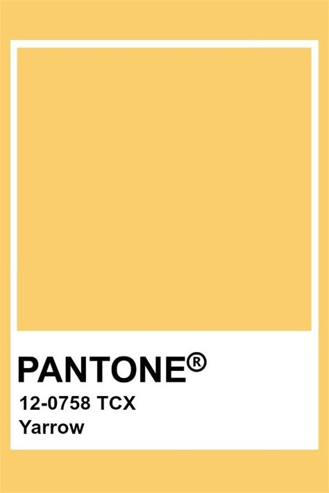 Pantone Yarrow Pantone Colour Palettes Pantone Color Yellow Pantone
