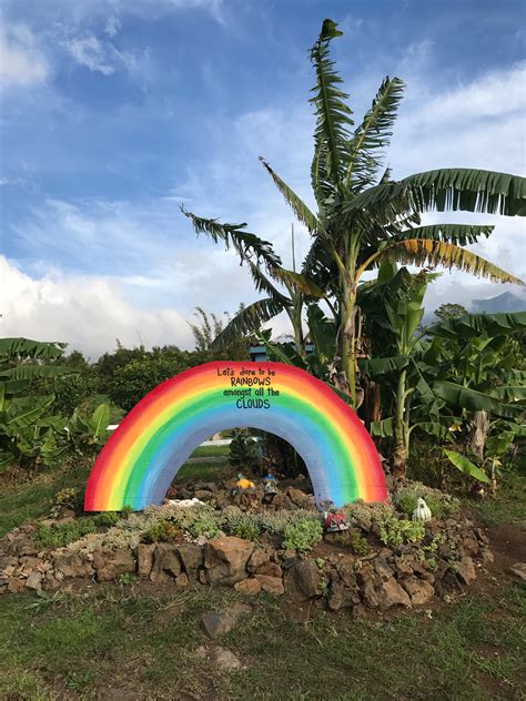 Kula Country Farms Maui Hitha On The Go
