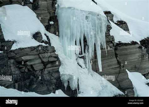 Massive Long Frozen Icicles Hanging Of The Side Of A Cliff On A