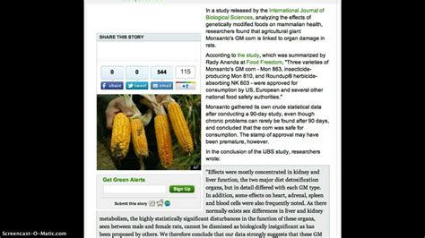 Monsantos Gmo Corn Linked To Organ Failure Youtube