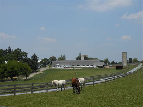 Boarding Southwind Farm Inc