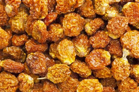 Dried Organic Goldenberry Stock Image Image Of Dried 25378819