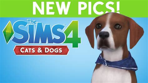 Sims 4 Cats And Dogs New Pics Cute Youtube