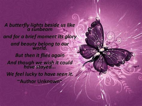 Quotes About Death Butterfly Quotesgram