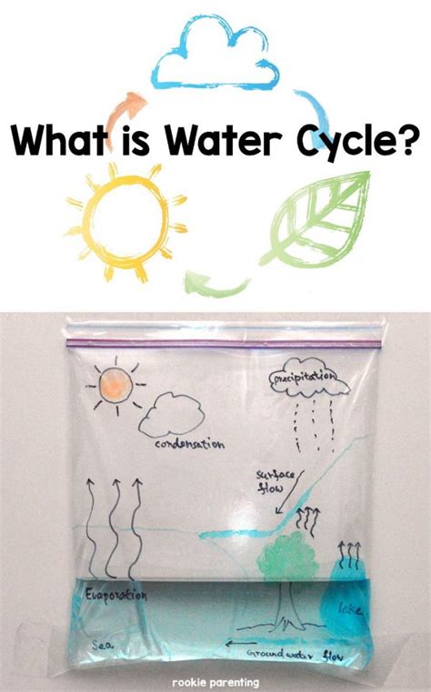 Water Cycle In A Bag Simple Science Experiment For Kids Mijulastyles