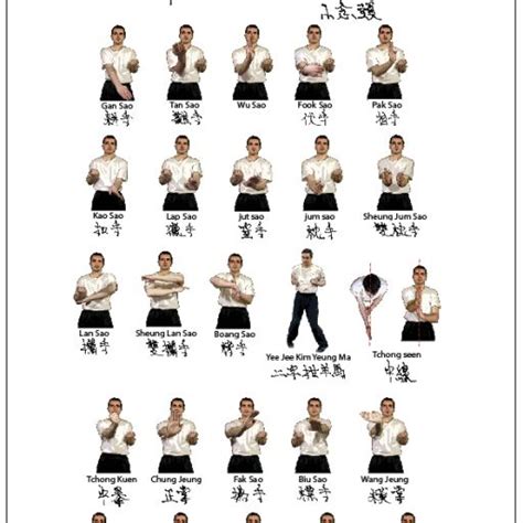 Wing Chun The Martial Arts Blog