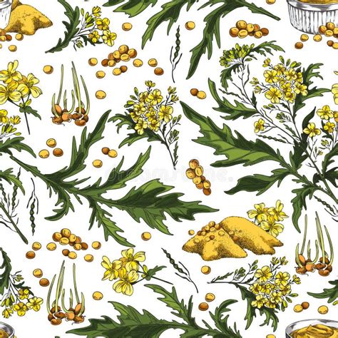 Seamless Pattern Background With Mustard Plant Sketch Vector