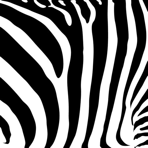 Zebra stripes clipart - Clipground