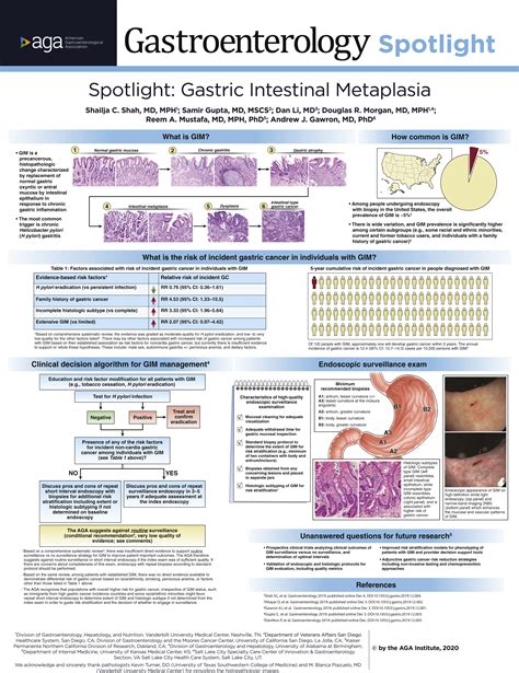 Gastric Intestinal Metaplasia Gim Gim Is A Precancerous Grepmed