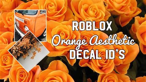 Roblox Bloxburg Orange Aesthetic Decal Id S Orange Zerolaw Otosection