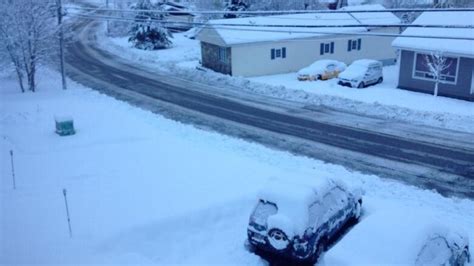 First Big Snowfall Of The Season Hits Western Newfoundland Cbc News