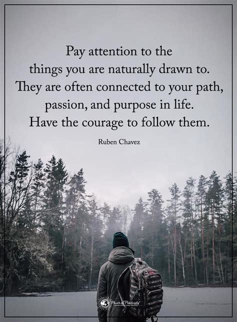 Finding Your Path In Life Quotes Image Aesthetic Animaux