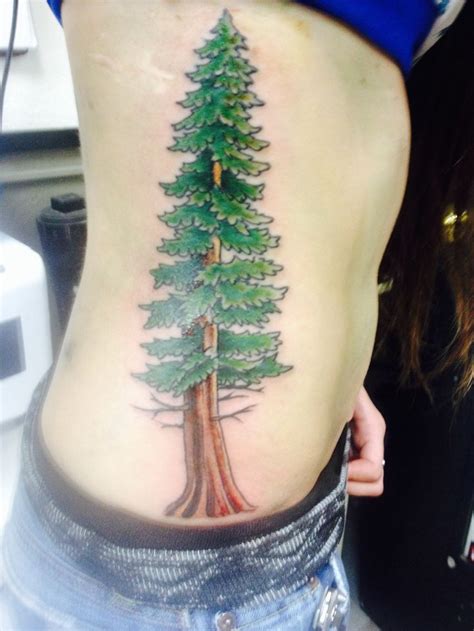 New Ink As Of 21214 Redwood Tree Tattoo Tattoos Tree Tattoo Love