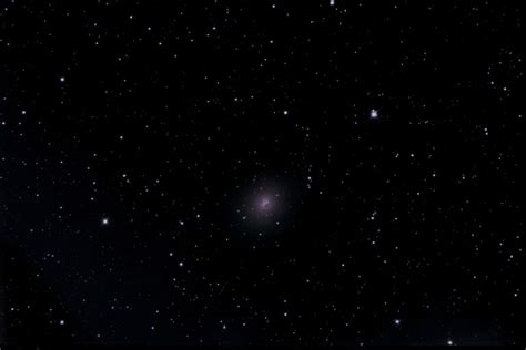 Dwarf Galaxy Ngc185 See The Glory