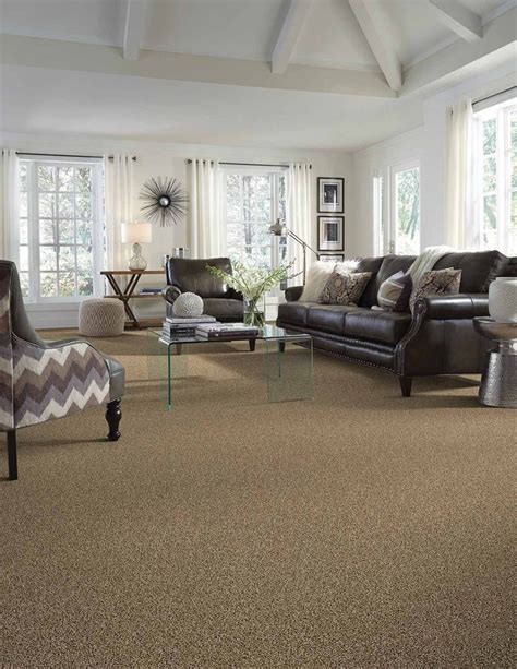 Living Room Transitional Carpet Tans Browns Stainmaster Buying