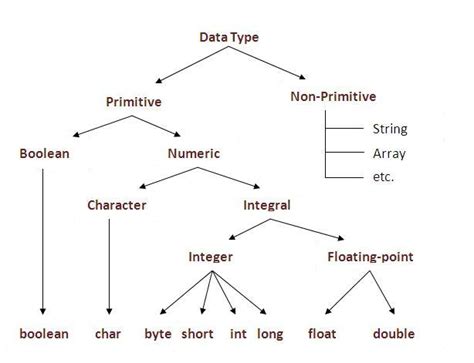 Variables Primitive Data Types Tutorials