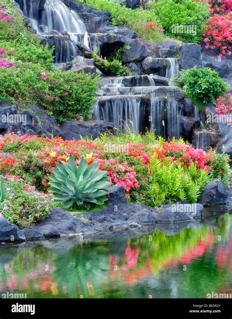 Waterfalls And Flower Gardens At The Grand Hyatt Kauai Hawaii Stock