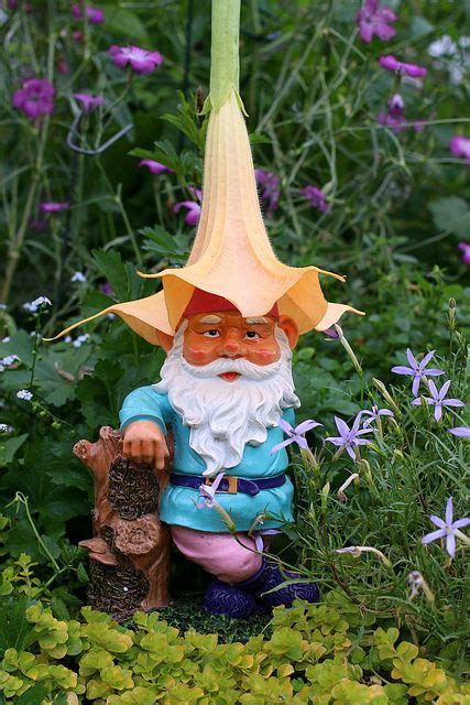 Gnomes Garden Gnomes And Gardens On Pinterest