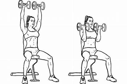 Arnold Press Dumbbell Seated Workoutlabs Reps Sets