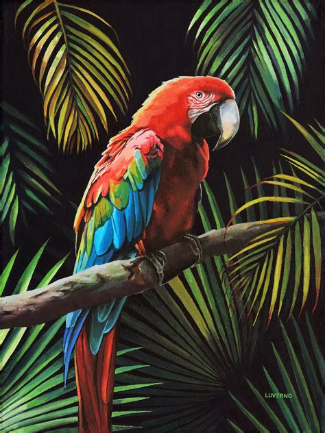 Scarlet Macaw Print Red Parrot Wall Print Ara Macaw Art Etsy