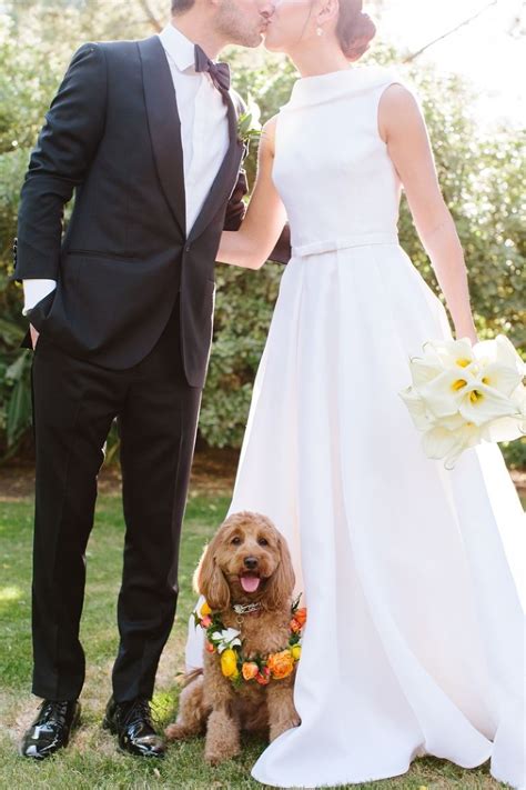 Weddings With Dogs Dog Flower Girl Dogs In The Wedding Flower Dogs