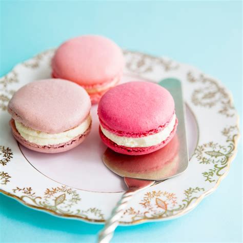 macaroons dessert recipes woman and home
