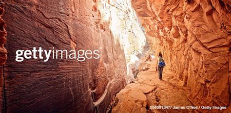 Download Getty Images for PC