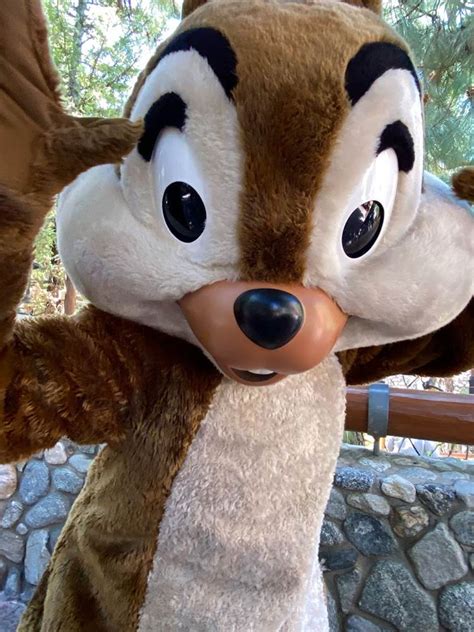 Photo Report Hugs Return To Disneyland And Walt Disney World