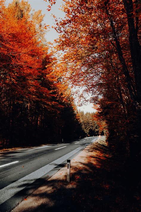 Autumn Road Pictures Download Free Images On Unsplash