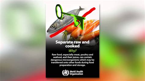 Banner And Poster Five Keys To Safer Food Who En Youtube