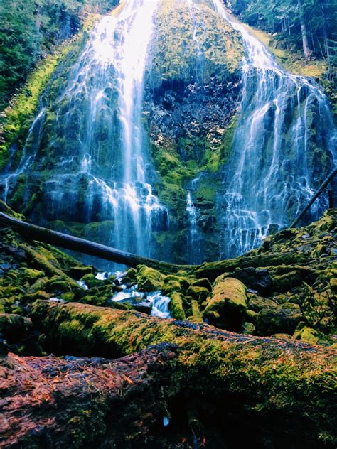 Explorations In The Northwest Proxy Falls Oregon Beautiful Images