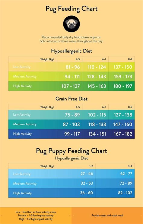 Pug Feeding Guide Lovejoys Pet Food