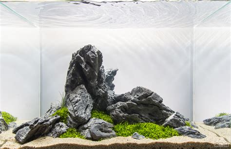 Best aquarium carpeting plant without co2? Aquascape Without Plants - Aquascape Ideas