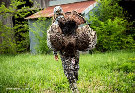 Spring Turkey Hunting 10 Tips To Find Birds Using Onx Hunt Onx
