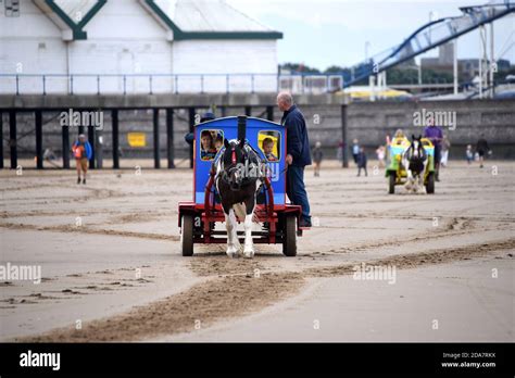 Donkey Rides Are A Tradtional Activity On The Beach At The Seaside As