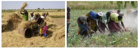 Burkina Faso Agriculture Ehangzhou Countries