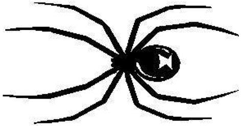 Sticker 4 Colors And 3 Sizes Black Widow Spider Vinyl Graphic Car Decal